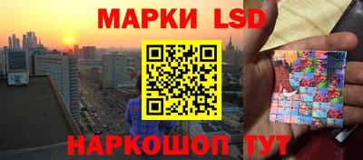 apvp Свободный