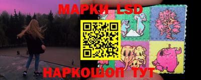 apvp Свободный